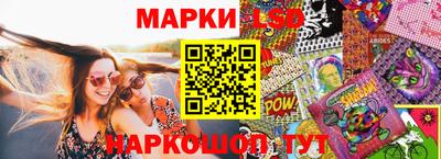 шишки Будённовск