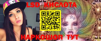 шишки Будённовск