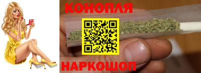 шишки Будённовск