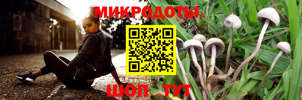 Галлюциногенные грибы мицелий Прохладный
