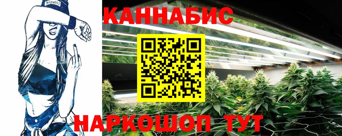 Прохладный  Конопля конопля  Вход с VPN  Шишки марихуана гибрид  Конопля семена 